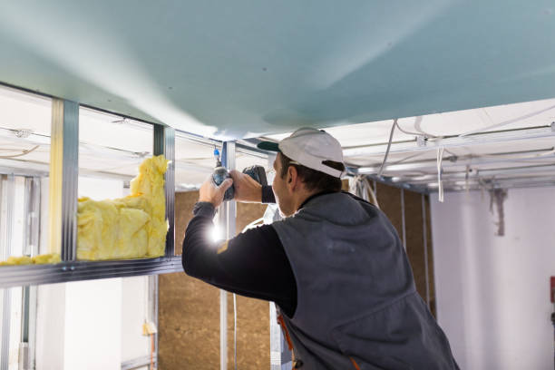 Best Fiberglass Insulation  in Lenoir, NC