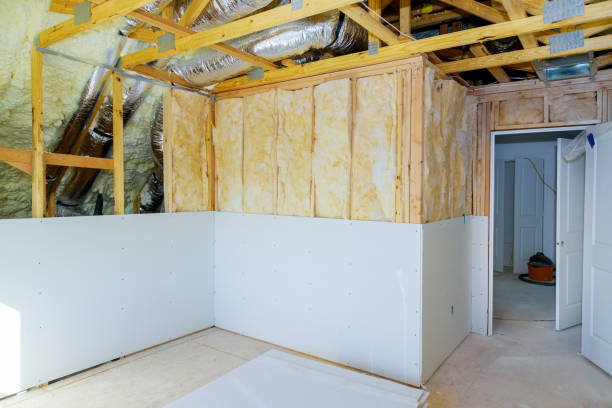 Best Insulation Inspection Services  in Lenoir, NC