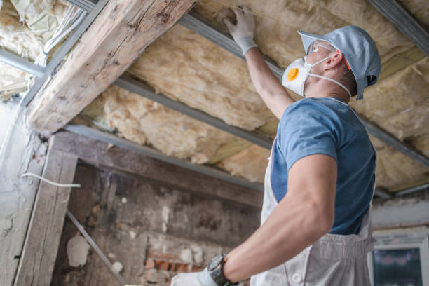 Best Cellulose Insulation  in Lenoir, NC