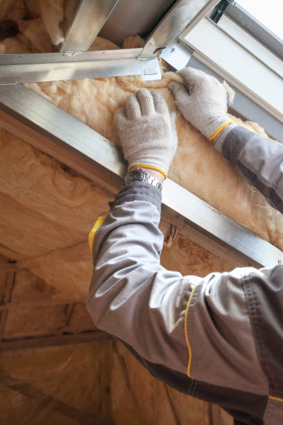 Best Insulation for New Construction  in Lenoir, NC