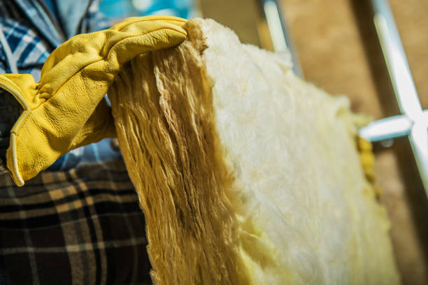 Best Insulation Repair Services  in Lenoir, NC