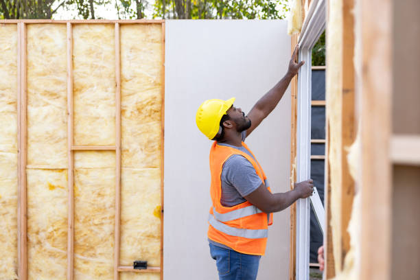 Best Insulation Contractors for Homes  in Lenoir, NC