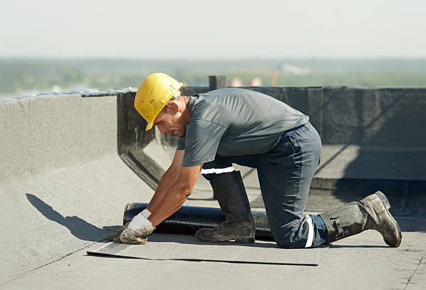 Best Insulation Replacement Services  in Lenoir, NC