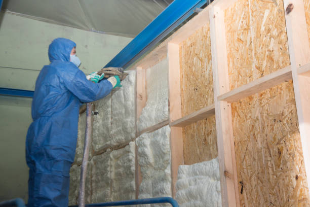 Best Professional Insulation Contractor  in Lenoir, NC