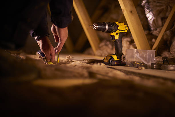 Best Professional Insulation Contractor  in Lenoir, NC