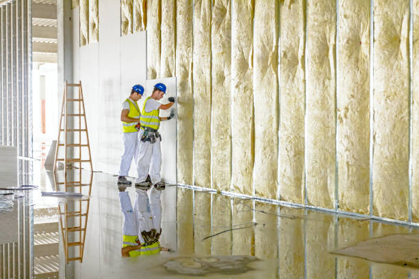Best Insulation Removal Services  in Lenoir, NC